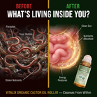 Organic Castor Oil Roller